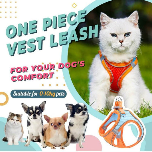 One Piece Vest Leash