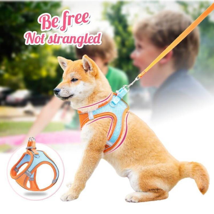 One Piece Vest Leash